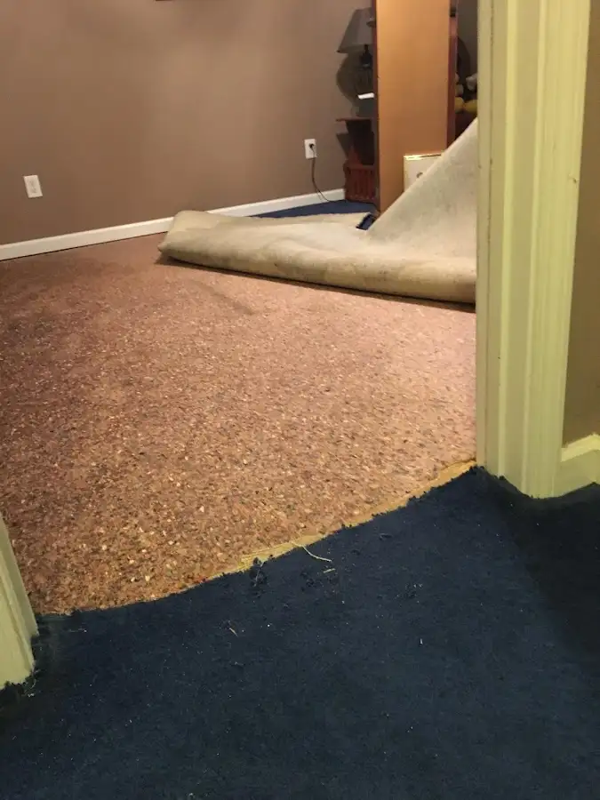 Carpet pad removal revealing water damage during Drying & Dehumidification in Machesney Park